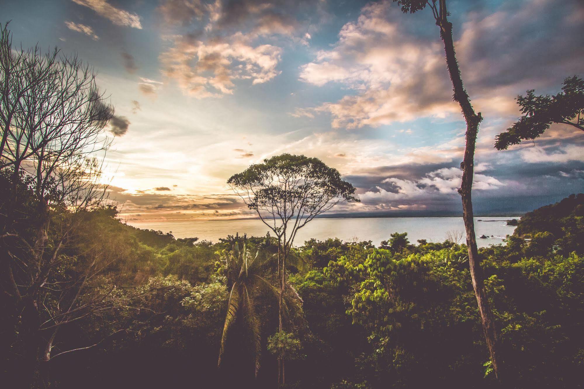 Issimo Suites Boutique Hotel & Spa - Adults Only Manuel Antonio Eksteriør bilde